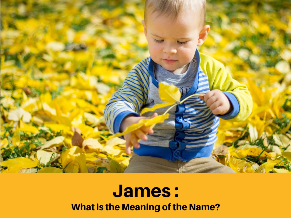 James meaning