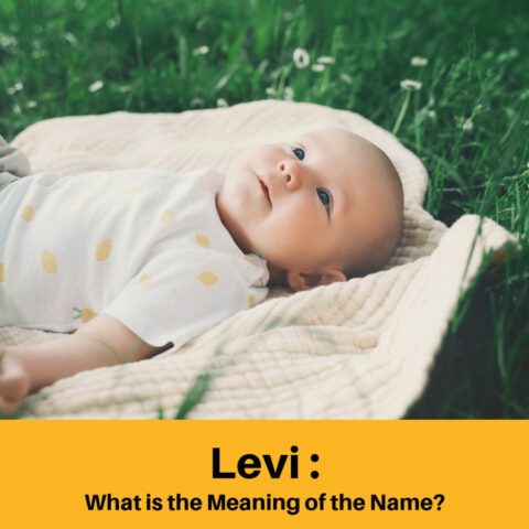 What is the Meaning Of The Name Levi?