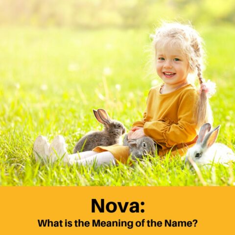 What Does the Name Nova Mean?