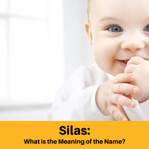 What is the Meaning of the Name Silas?