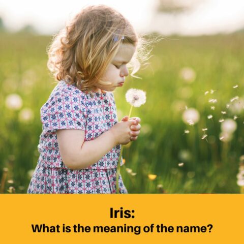 What Does the Name Iris Mean?