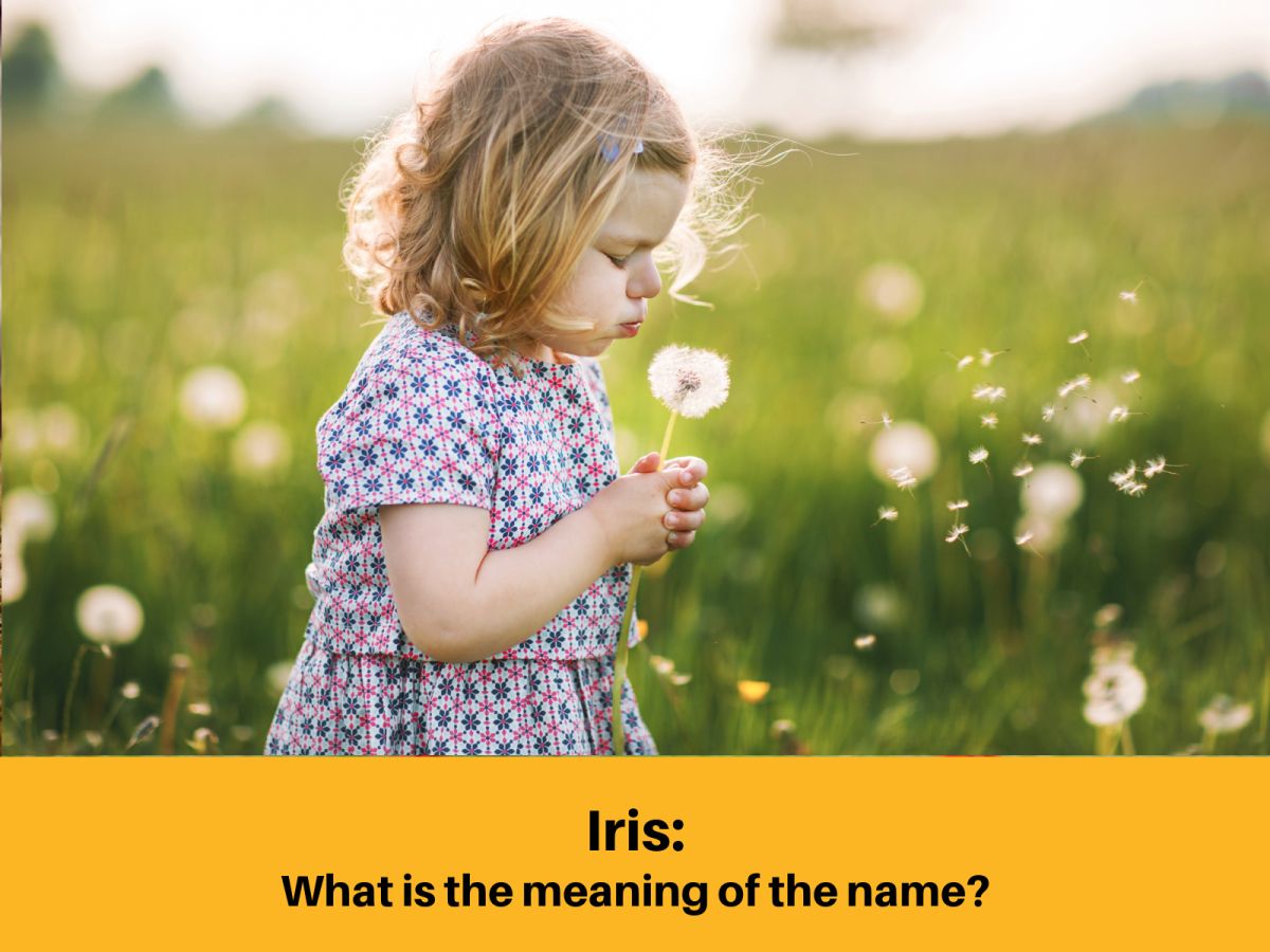 Iris name meaning