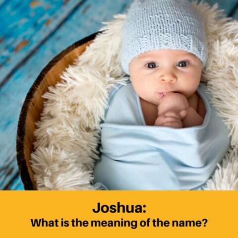What Does the Name Joshua Mean?