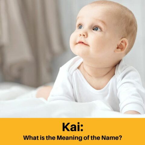 What Does the Name Kai Mean?