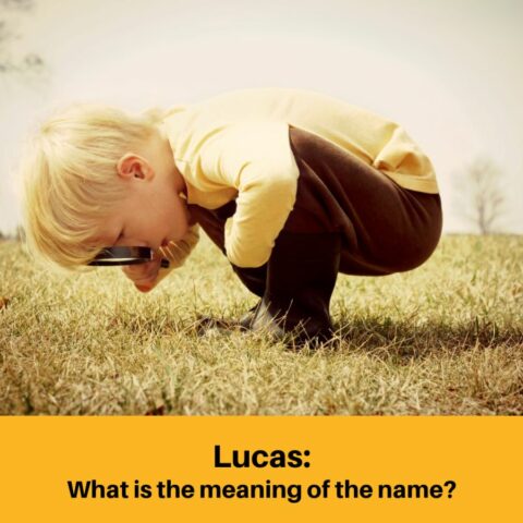 What Does the Name Lucas Mean?