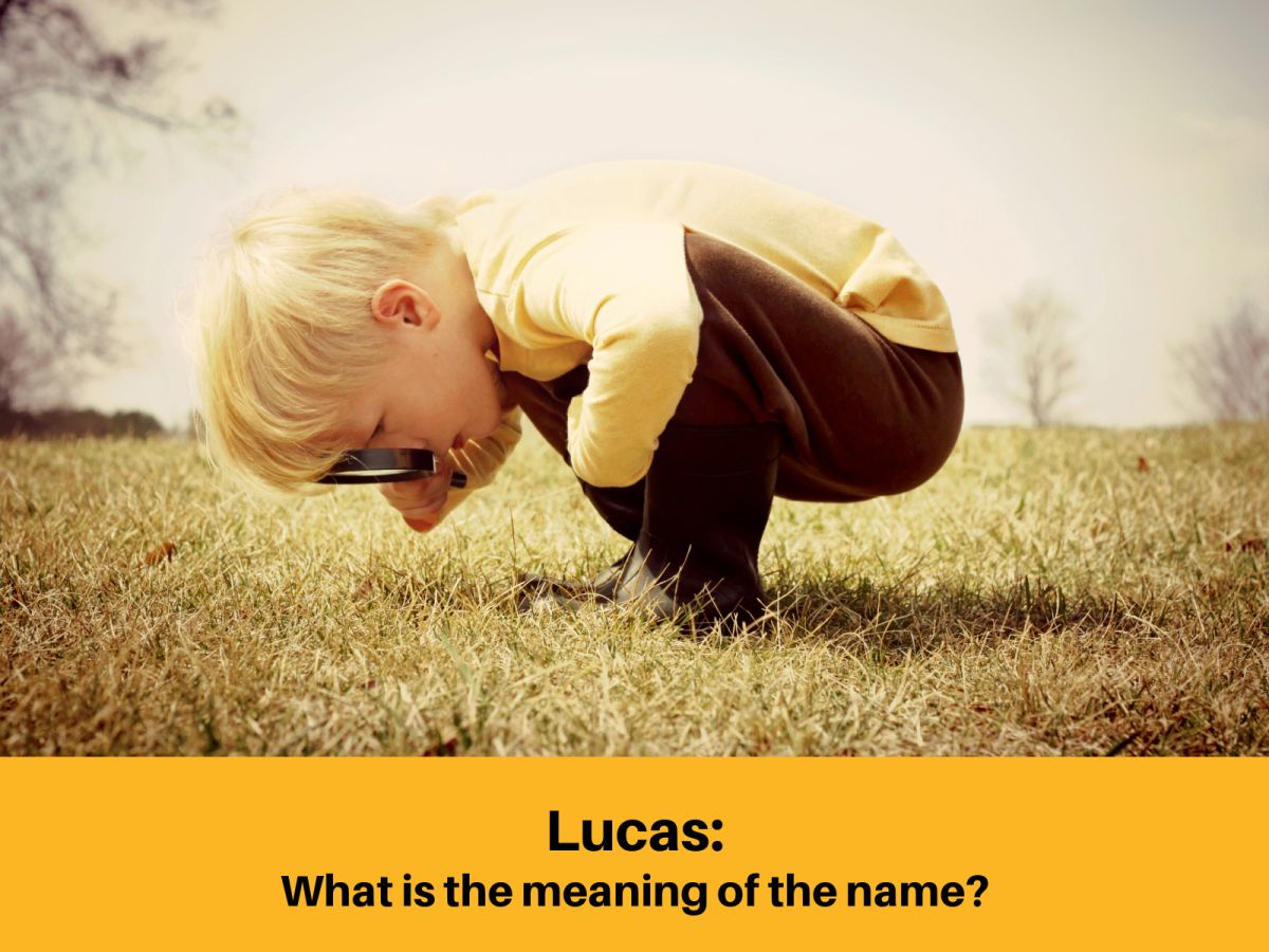 Lucas meaning