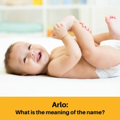 What Does the Name Arlo Mean?