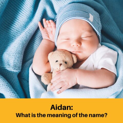 What is the Meaning of the Name Aidan?
