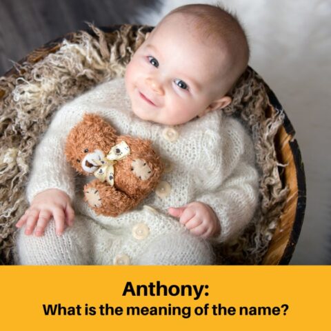 What is the Meaning of the Name Anthony?