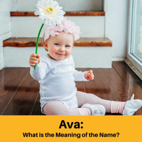 What is the Meaning of the Name Ava?
