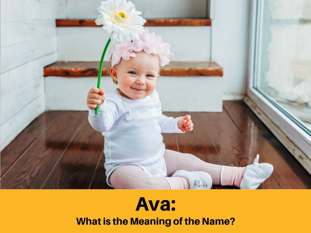  Name Ava meaning