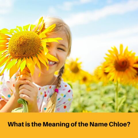What is the Meaning of the Name Chloe?