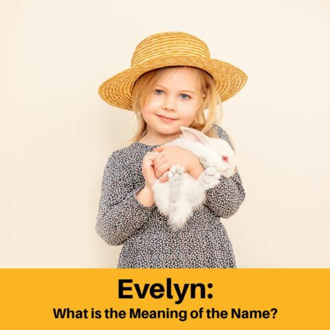 What is the Meaning of the Name Evelyn?