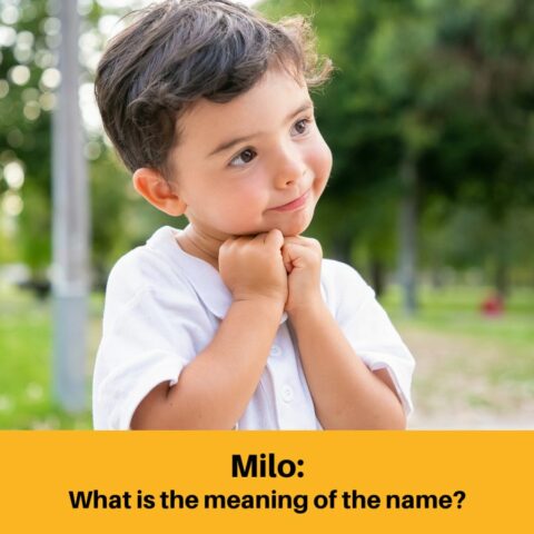 What is the Meaning of the Name Milo?