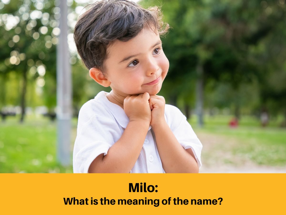 What is the Meaning of the Name Milo
