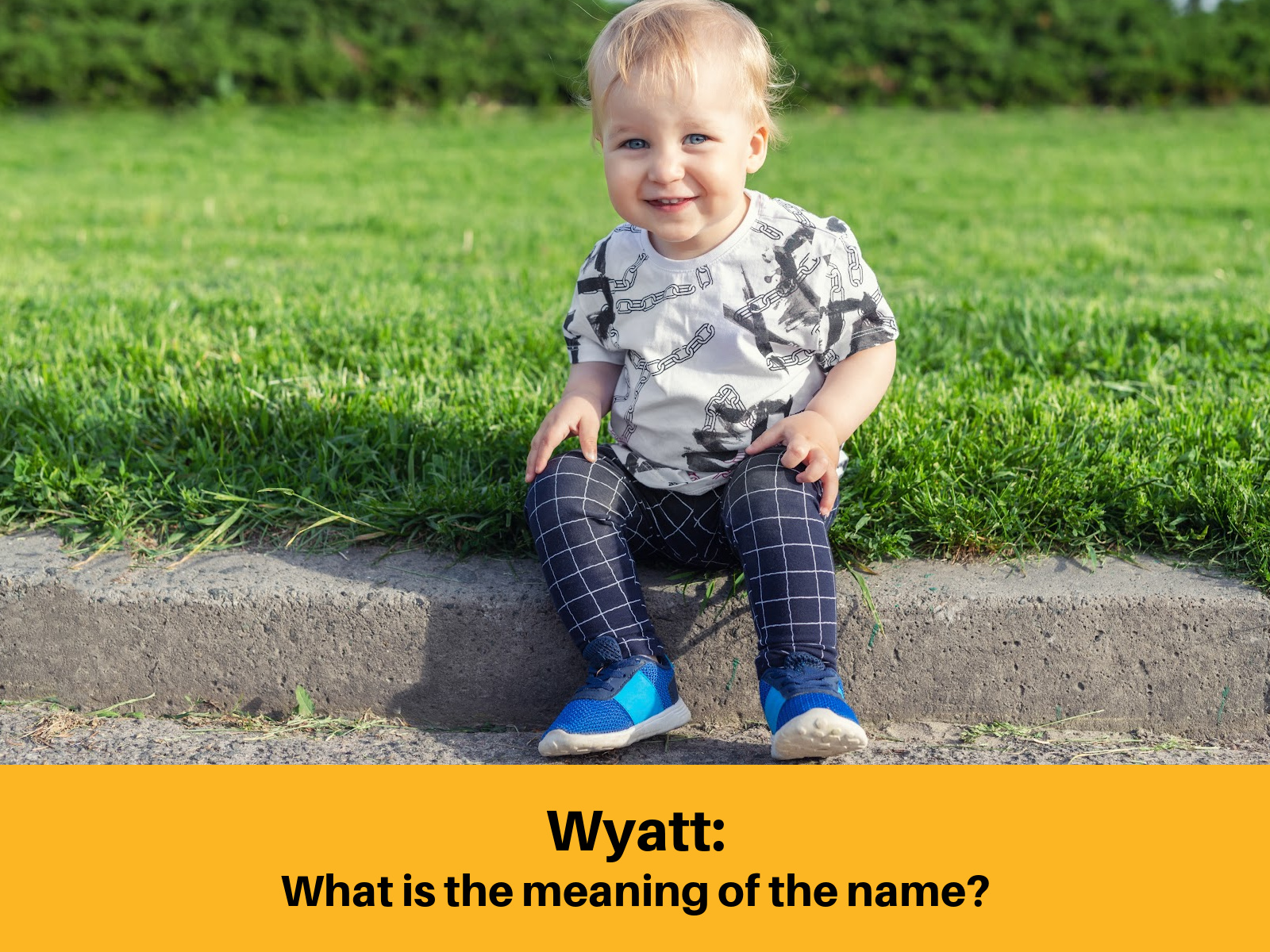 Wyatt meaning