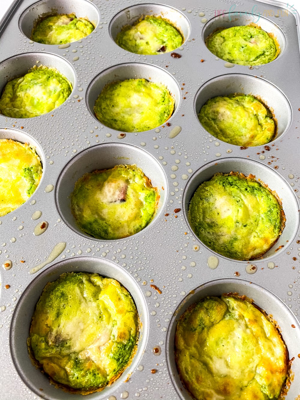 spinach egg muffins with ham recipe (10)