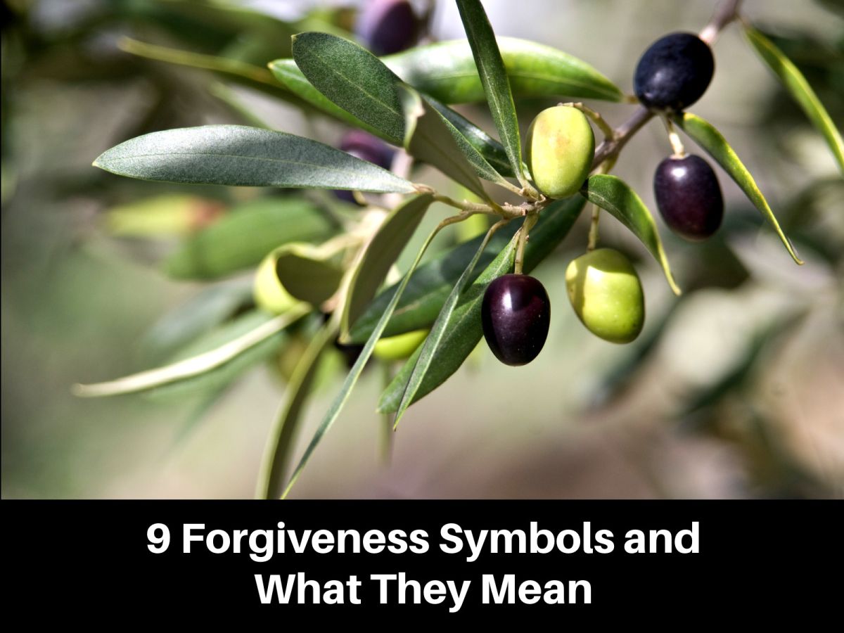 9 Forgiveness Symbols and What They Mean