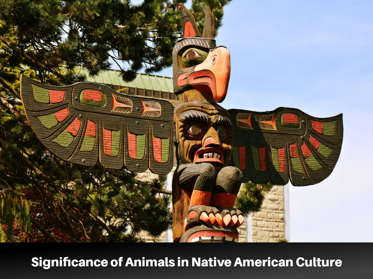 Native American Animal Symbolism