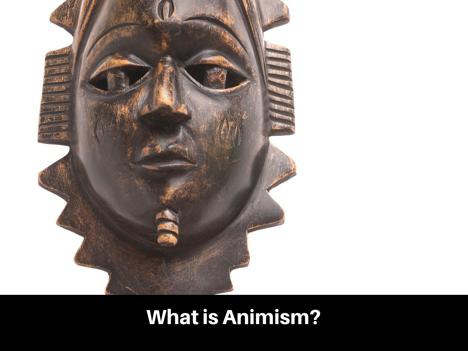 What Is Animism?