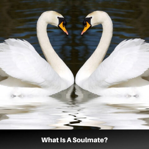 Soulmate Symbols – Types of Soul Companions