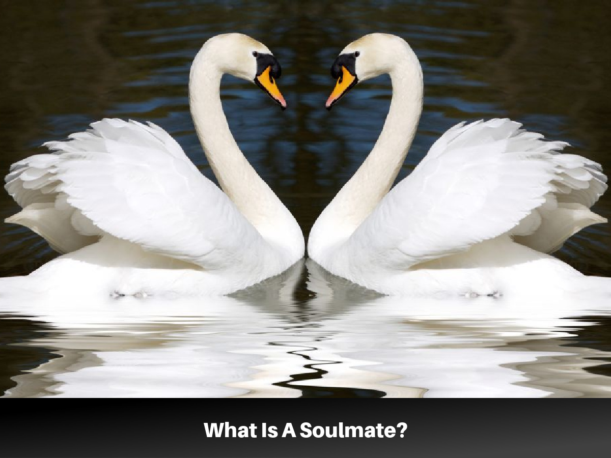 what is soul mate