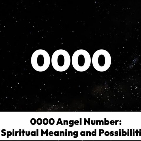 0000 Angel Number: Spiritual Meaning and Possibilities