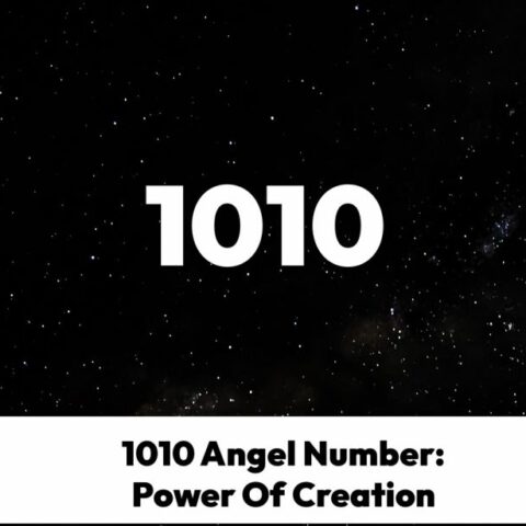 1010 Angel Number: Power Of Creation