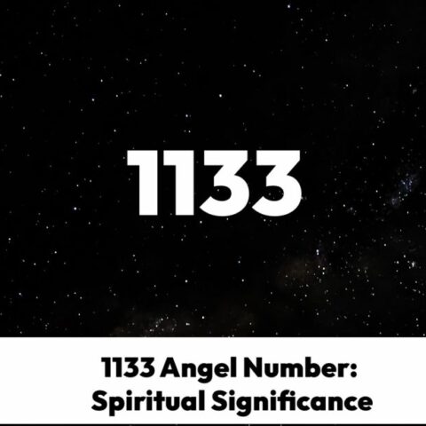 1133 Angel Number
