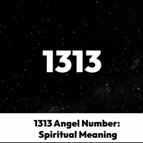 1313 Angel Number