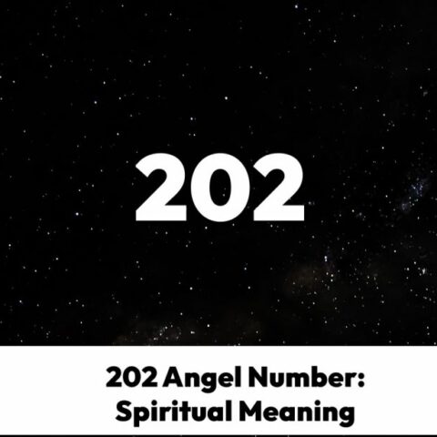 202 Angel Number: The Spiritual Meaning Of 202