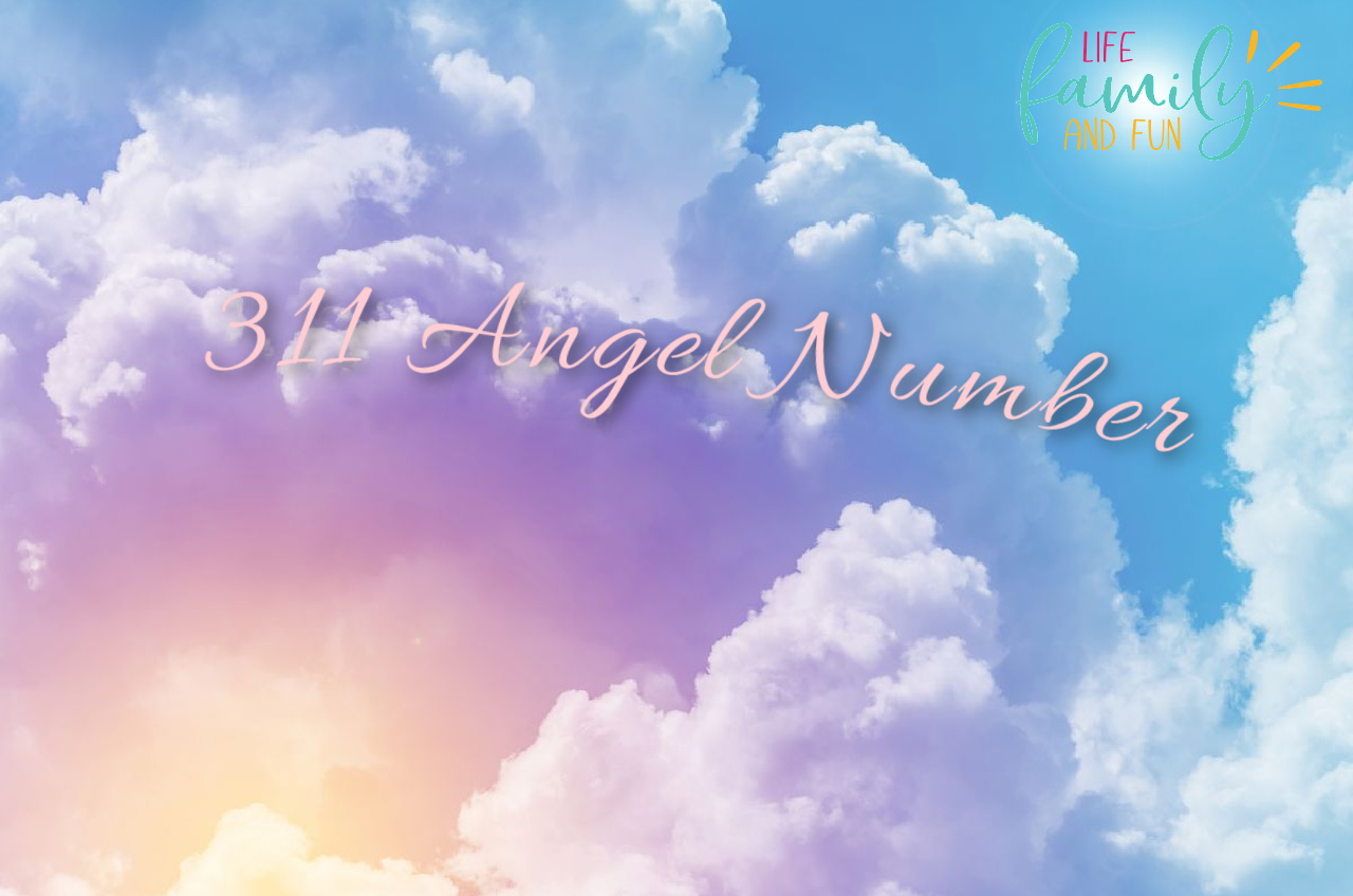 311 Angel Number