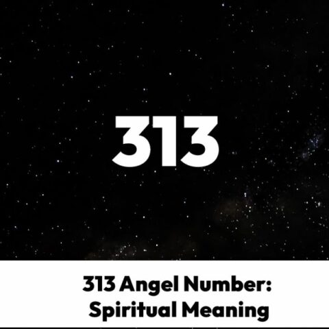 313 Angel Number Spiritual Significance