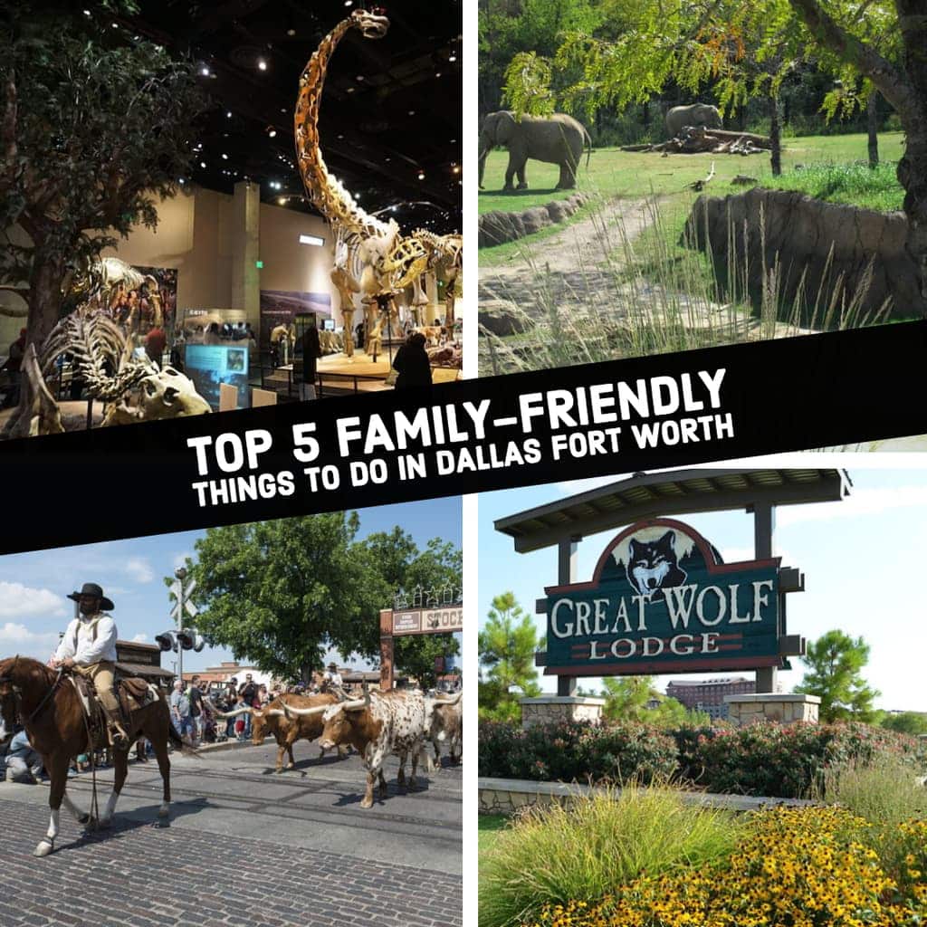 As kids have less school due to spring break or summer, parents want to keep their kids active without breaking the bank. If you are visiting or live in Dallas Fort Worth area you are going to want to read on. We have put together the Top 5 Family-friendly things to do in Dallas-Fort Worth Area.