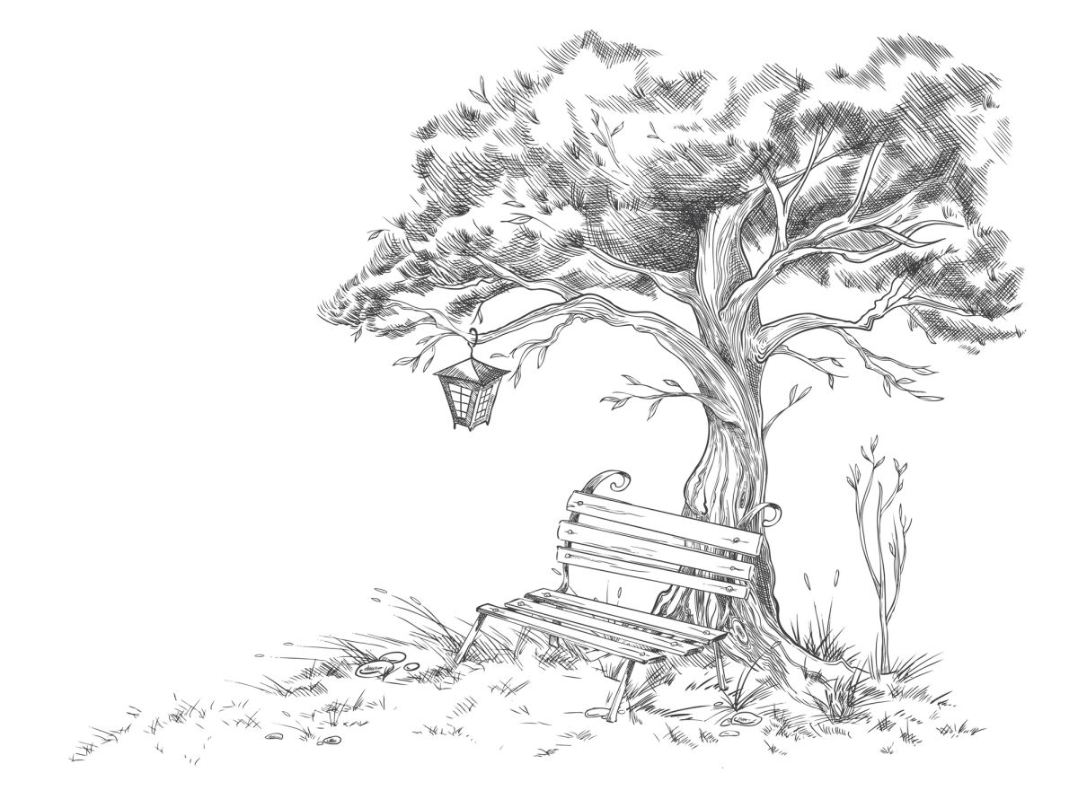 Discover more than 151 best tree sketch best